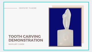 TOOTH CARVING DEMONSTRATION - MAXILLARY CANINE