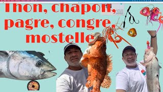 Technique de pêche en dérive dans les fosses au pagre, chapon, congre, thon et poisson lune.