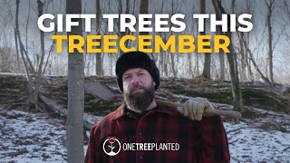 Gift Trees this Treecember | One Tree Planted