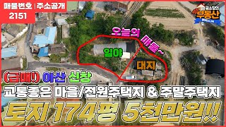 21.6.14계약완료[전원주택지!!]아산시 신창면 신곡리 곡교천 강변 동네 소형 토지 급매!작은 주택짓고 꿈꿔왔던 전원생활 도전해보세요!비닐하우스 드려요~아산부동산/땅땅부동산TV