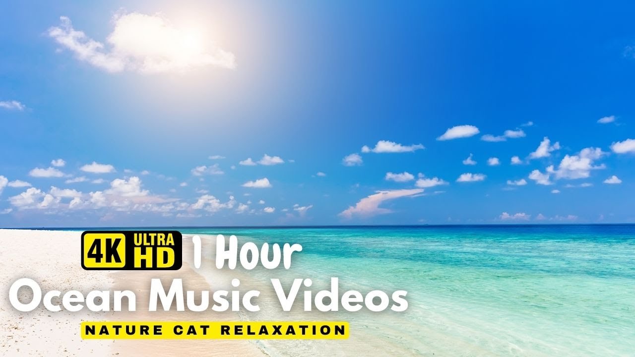 The Ocean 4k Scenic Wildlife Sea Beach Film With Relaxing Piano Music