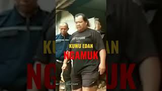 Kuwu Edan ‼️ Ngamuk