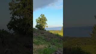 Gettysburg: Little Round Top | 146th New York Position