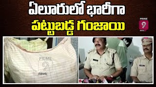 ఏలూరులో భారీగా పట్టుబడ్డ గంజాయి | Seized 80Kg Ganja In Eluru Dist | Prime9 News