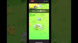 2025年2月8日 リサーチ報告【ポケモンスリープ】