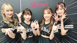 《プロ野球 チアリーダー》福岡ソフトバンクホークス　ハニーズ　Honeys 2023  ②《BraveTV》