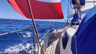 Bonny - Shakedown Cruising Chute Sailing in the Algarve, June 2021