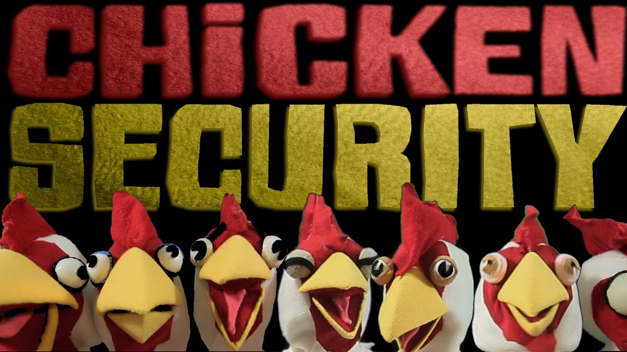 Chicken Security! - YouTube