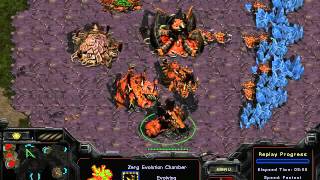 2015  BROOD WAR ICCUP D/D- ZvP EVERYTHING WRONG