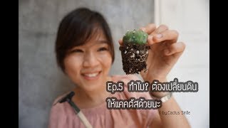 CactusSmile | วิธีเปลี่ยนดินแคคตัส แบบง่ายๆ | EP.5