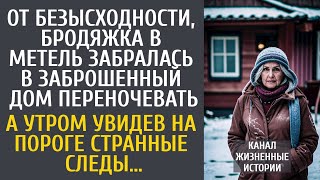 Бродяжка в метель забралась в заброшенный дом переночевать… А утром увидев на пороге странные следы…