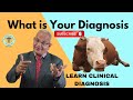 What Is Your Clinical Diagnosis Cow Case I GNP Sir