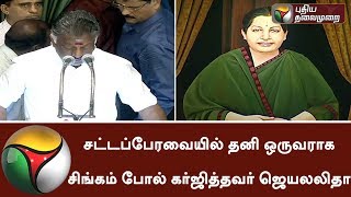 சட்டப்பேரவையில் தனி ஒருவராக சிங்கம் போல் கர்ஜித்தவர் ஜெயலலிதா: ஓ.பன்னீர்செல்வம்#JayalalithaaPortrait