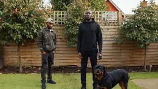 Dave x Stormzy - Toxic [Music Video]