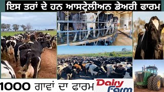 ਆਸਟ੍ਰੇਲੀਆ ਵਿੱਚ 1000 ਗਾਵਾਂ ਦਾ ਡੇਅਰੀ ਫਾਰਮ || AUSTRALIAN DAIRY FARM || MILKING COWS IN AUSTRALIA ||