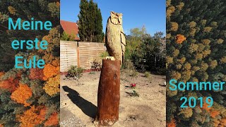 Motorsägenkunst - chainsaw carving Meine erste Eule, Sommer 2019