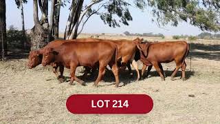 LOT 214