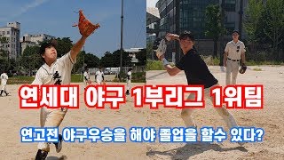 야구 연고전 우승팀, 연세대 리그1부 1위팀의 수비실력 ㅎㄷㄷ (사회인야구보다 더욱 열정적인 대학야구)