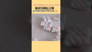 😱❗️ലോകത്തിലെ തന്നെ ഏറ്റവും വലിയ MARSHMALLOW 😲🤤|#shorts #short #amhere #facts #trending #viral