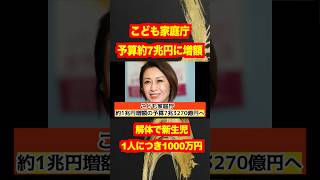 【こども家庭庁】予算約7兆円請求！解体で新生児全員に1000万円配れるとのこと！財源あるじゃんと思った国民が激怒！#shotrs