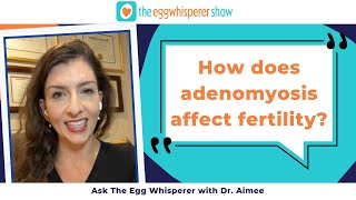 How does adenomyosis affect fertility? (Ask the Egg Whisperer with fertility physician Dr. Aimee)
