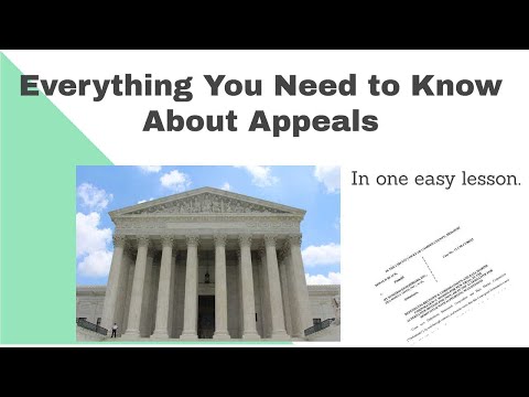 What is an appeal in a criminal case?
