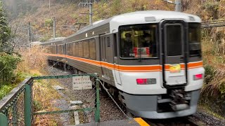 JR東海373系(F10編成) 急行飯田線秘境駅号飯田行き　飯田線為栗発車