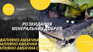 РОЗКИДАННЯ МІНЕРАЛЬНИХ ДОБРИВ | ВАПНЯНО АМІАЧНА СЕЛІТРА