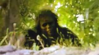 They're HERE!: Scientists Leak Footage That Could Finally Prove Bigfoot Exists