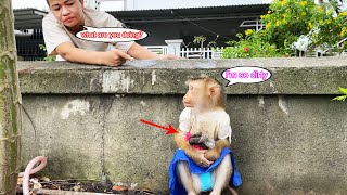 What happened to Lyly??? Monkey Lyly was confused and didn't go into the house