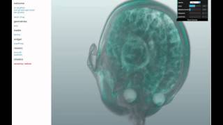adibrain vjs
