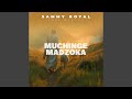 Muchinge Madzoka