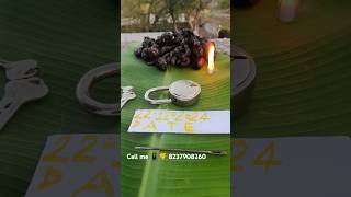 #Original #Kali #haldi #black #turmeric #video #automobiltesting black turmeric 8237908260