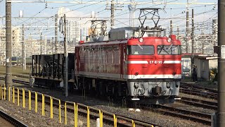 2022/05/11 【宇都宮配給】 EF81 95 + ホキ800形 尾久駅 | JR East: Ballast Hopper Wagons after Inspection at Oku