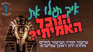 איך תוכלו לגלות את הנוכל האמיתי?