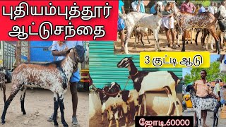 புதியம்புத்தூர் ஆட்டுசந்தை 20.7.2023 ஒரிஜினல் கொடி ஆடு,செம்பறி ஆடு விலை நிலவரம்💖#goat #low #Native