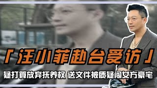 汪小菲赴台受访，疑打算放弃孩子抚养权，送文件被质疑闯女方豪宅