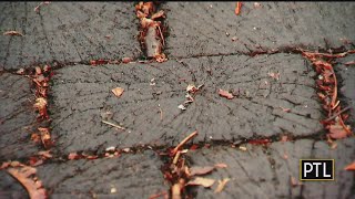 A Closer Look At Pittsburgh's Wooden Street