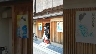 京都・祇園　真矢さん（芸妓）　襟替え（2）　Maya(Geiko) , Gion, Kyoto