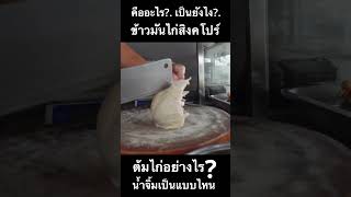 มันเป็นอย่างไร?. ข้าวมันไก่สิงคโปร์.. มีอะไรบ้าง?. ต้มไก่อย่างไร?. น้ำจิ้มแบบไหน?.