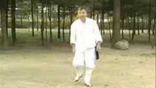 Taekkyon Footwork