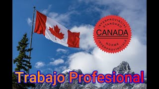 Trabajar como profesional en Canada/ Certificacion Red Seal/Vlog#04/ #profesional#canada#mecanico