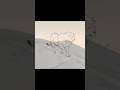 Lion Animation Test in TVPaint #shorts #tbt #animation #2D