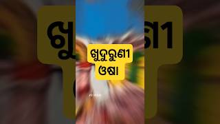 ଖୁଦରୁକୁଣୀ ଓଷା !!  #khudurukuniosha #youtubeshorts