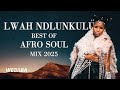 Lwah Ndlunkulu - Best of AfroSoul Mix 2025 | Dj Webaba