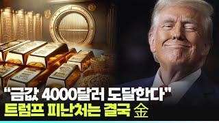 “금값 4000달러 도달한다” 트럼프 피난처는 결국 金