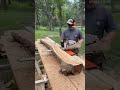 Stihl MS 661 and Logosol F2+ Compilation! #stihl #logosol #chainsawmill