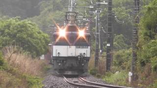 EF64　鹿島貨物1095レ　雨の内野踏切