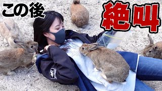 【衝撃】うさぎ島でウサギに埋もれたら大変なことになってしまった…【感動】｜Rabbit Island Japan Okunoshima