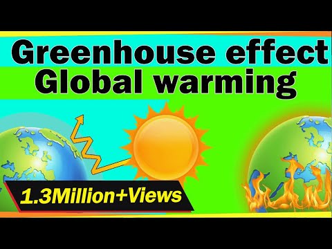 Greenhouse effect and global warming | Environmental Sciences | LetsTute